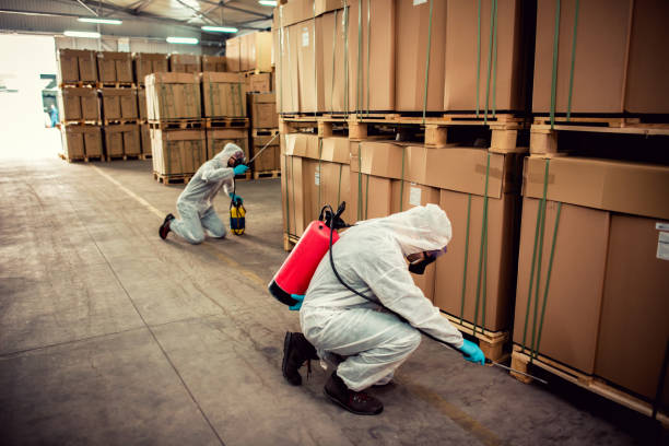 Best Pest Inspection Near Me  in Panorama Village, TX