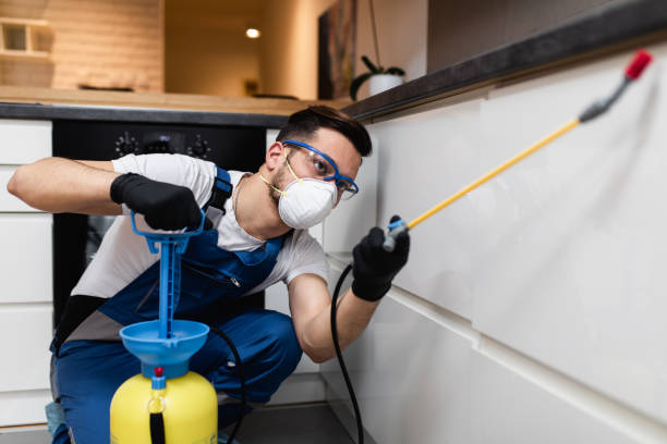 Best Pest Prevention Services  in Panorama Village, TX