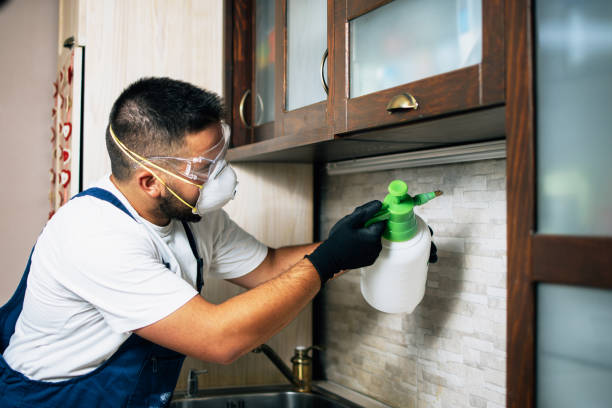 Best Residential Pest Control  in Panorama Village, TX