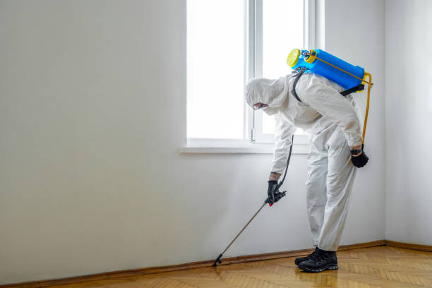 Best Commercial Pest Control Services  in Panorama Village, TX