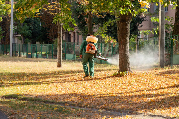 Pest Control Cost in Panorama Village, TX