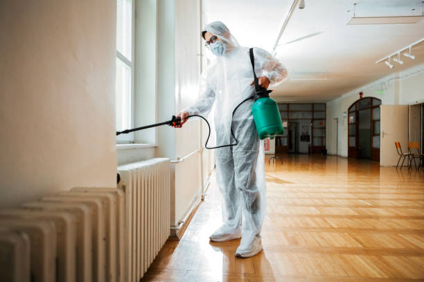 Best Flea Control Services  in Panorama Village, TX